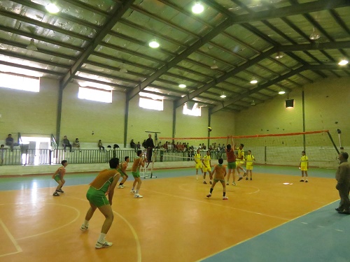 http://s6.picofile.com/file/8207054400/abar_volleyball_11_.JPG