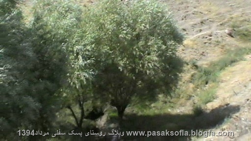 پسک سفلی خوی