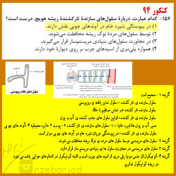 کنکور زیست شناسی 94