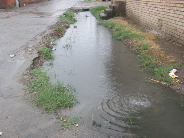 http://s6.picofile.com/file/8208747292/01_12_.JPG