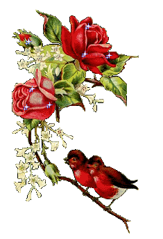 سلطان عشق