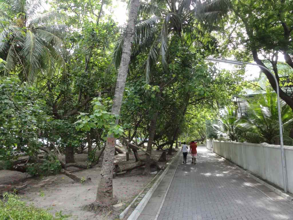 http://s6.picofile.com/file/8209966650/216.jpg
