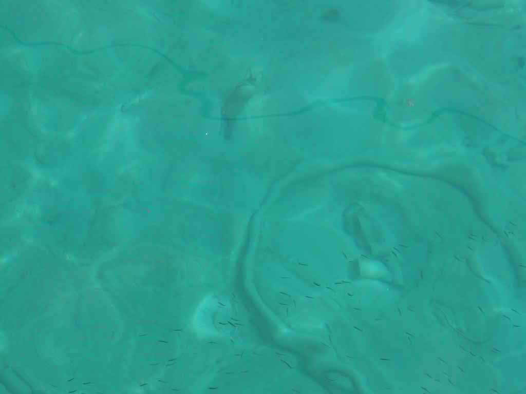 http://s6.picofile.com/file/8209966692/217.jpg