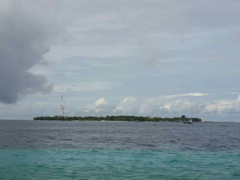 http://s6.picofile.com/file/8209966784/223.jpg