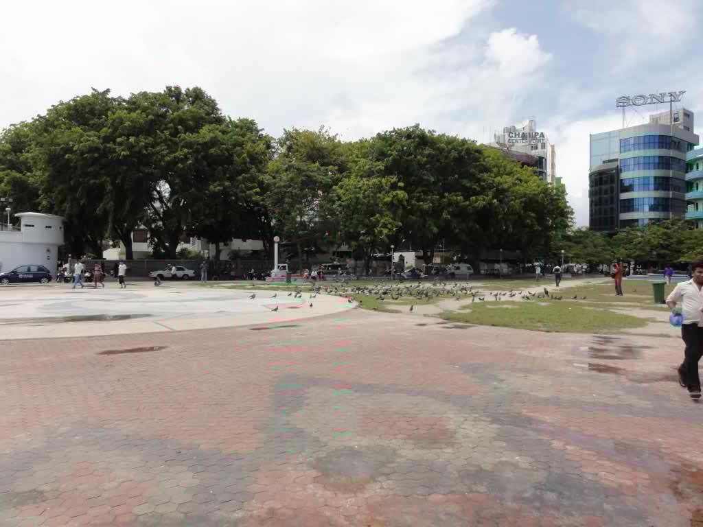 http://s6.picofile.com/file/8209966934/240.jpg