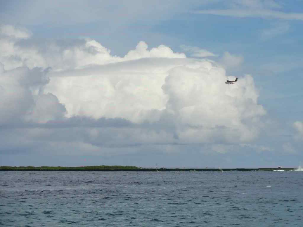 http://s6.picofile.com/file/8209967100/249.jpg