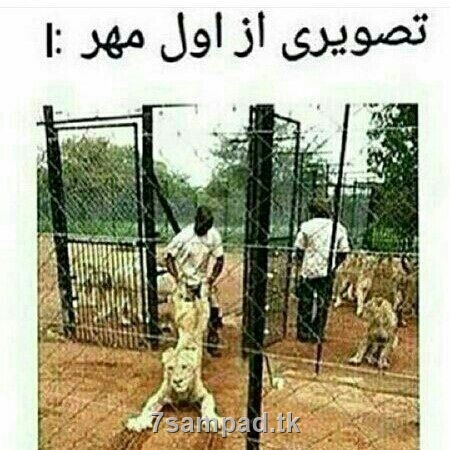 Image result for u202bمدرسه ها باز شدu202c
