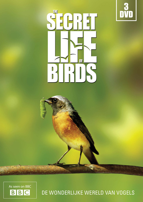 http://s6.picofile.com/file/8211953968/secret_life_of_birds_dvd_cover.jpg