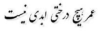 عمر هیچ درختی ابدی نیست عمر هیچ درختی ابدی نیست