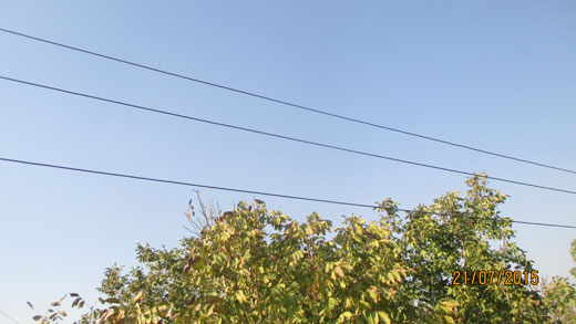 رضا نيك پيام ، ايمني برق، برق گرفتگي رضا نيك پيام ، ايمني برق، برق گرفتگي