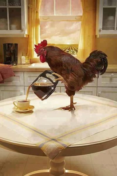 تصاویر جالب و دیدنی تصاویر جالب و دیدنی