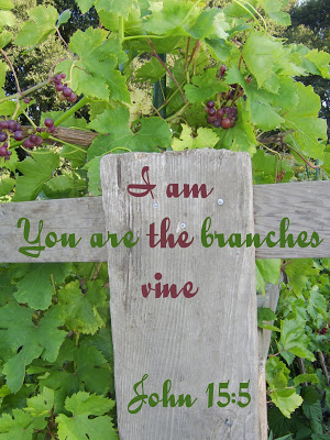 http://s6.picofile.com/file/8214280276/i_am_the_vine_you_are_the_branches_copy.jpg