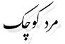 مرد کوچک مرد کوچک