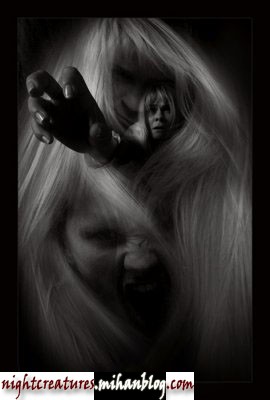 46.jpg (270×400)