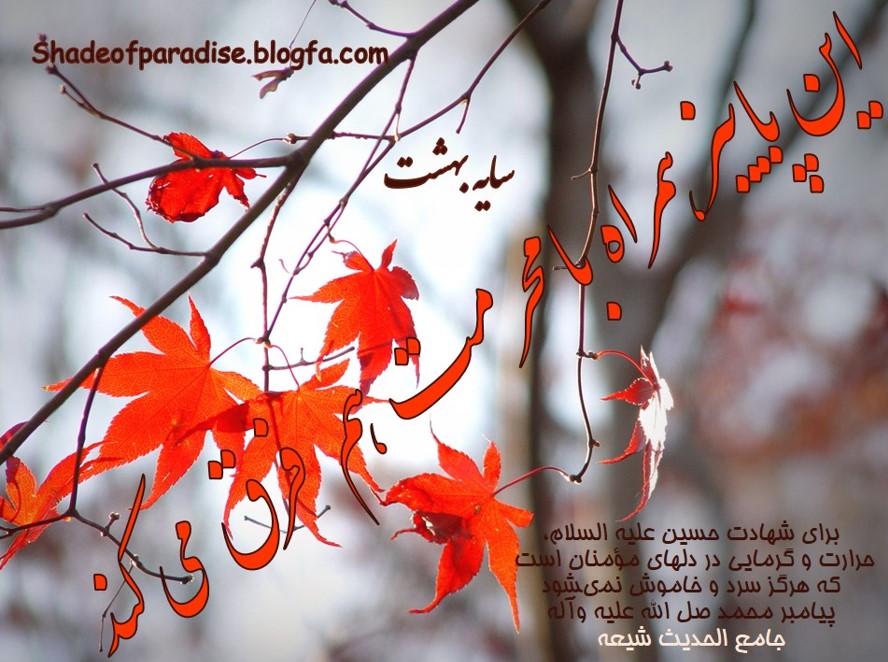 سایه بهشتshadeofparadise.blogfa.com