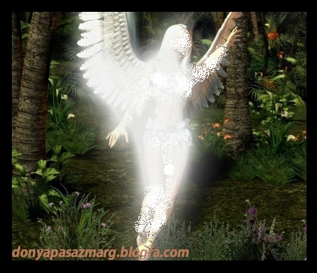 http://s6.picofile.com/file/8218150526/Morning_Angel_angels_15925950_500_375.jpg