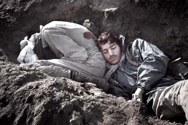 شهادت شهادت