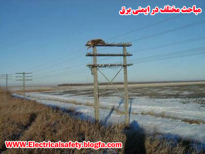 رضا نیک پیام، ایمنی برق ،Reza Nikpayam