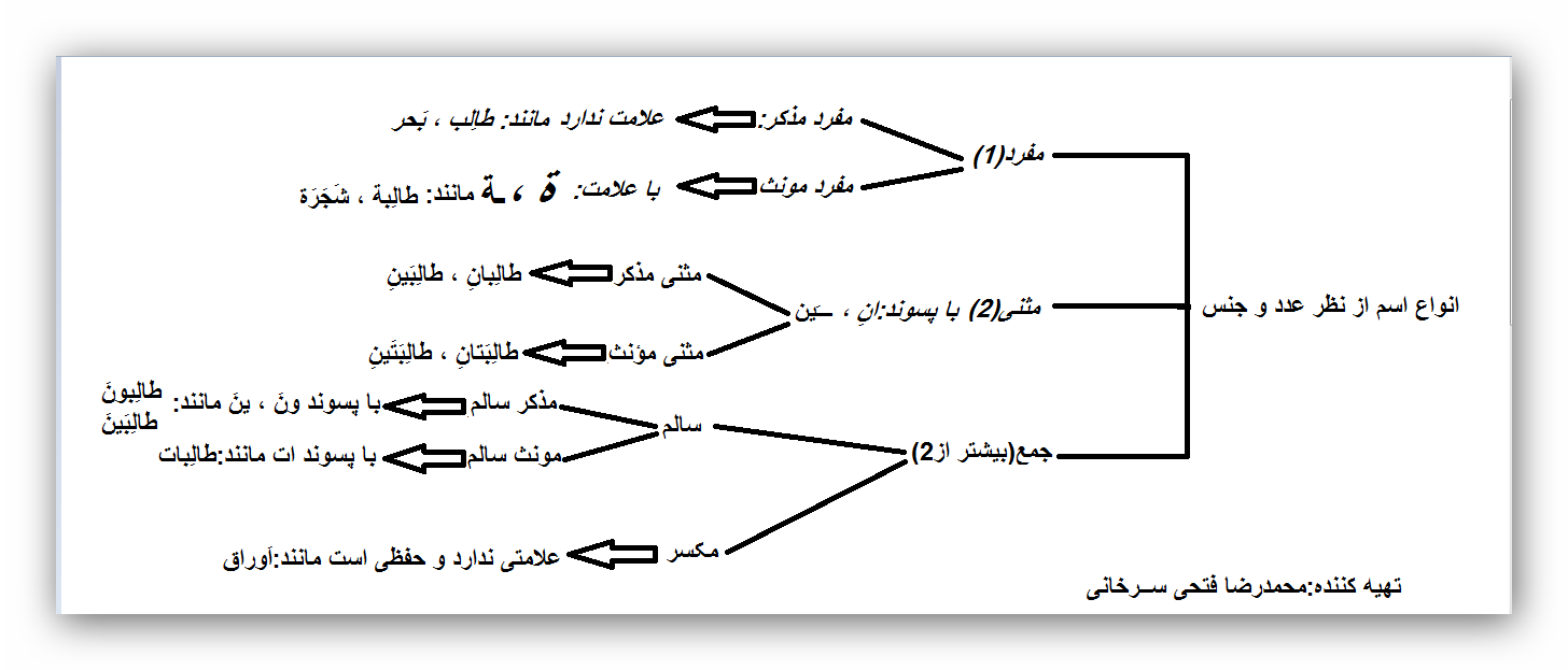 انواع اسم از نظر عدد و جنس