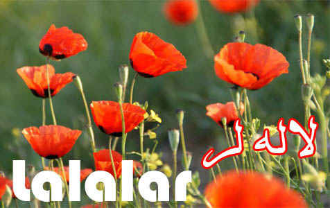 یعقوب ظروفچی