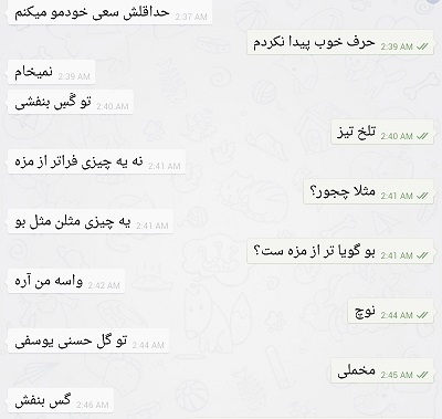 پیران جاهل شیخان گمراه ما را به رندی افسانه کردن