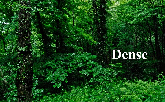 Dense