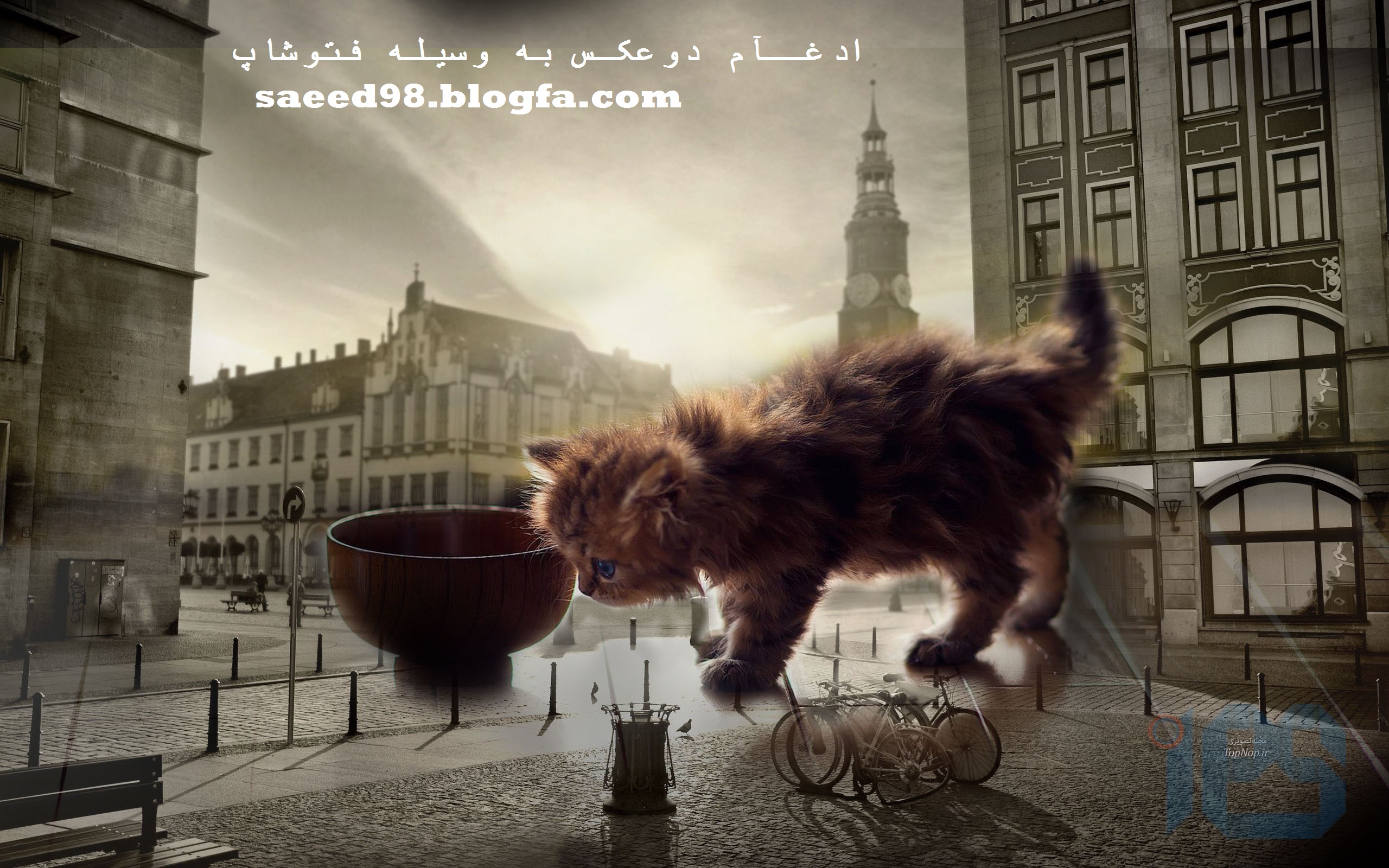 http://s6.picofile.com/file/8223556150/image_mix_10.jpg