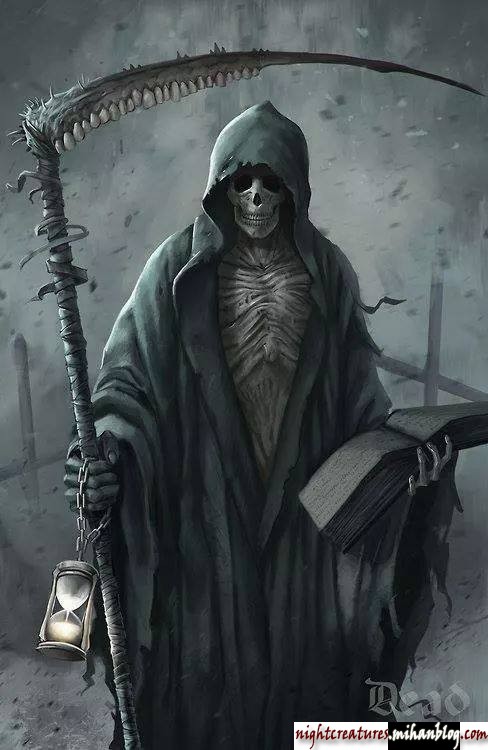عکس_و_والپیپر_اسکلت_فانتزی_www_nightcreatures_mihanblog_com91.jpg (488×750)