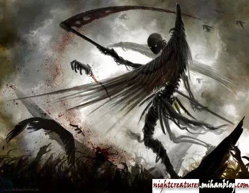 عکس_و_والپیپر_اسکلت_فانتزی_www_nightcreatures_mihanblog_com99.jpg (500×387)