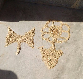 شهیدقدمی