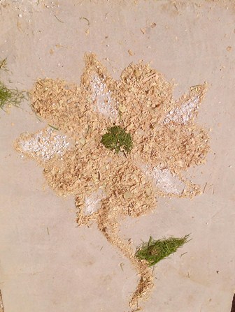 شهیدقدمی