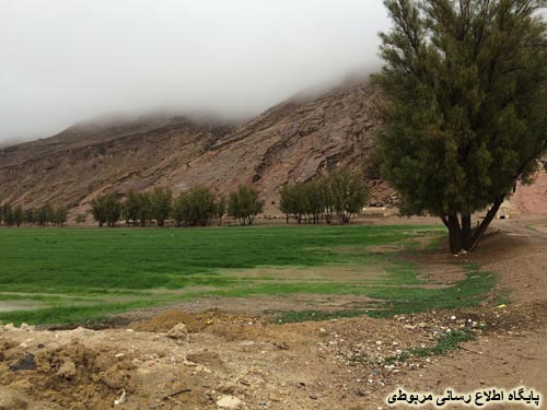 http://s6.picofile.com/file/8230692950/kahneh_Day_94_5_.jpg