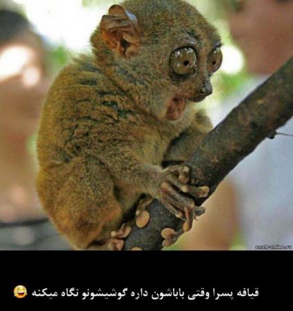 http://s6.picofile.com/file/8230721284/35c61167fa652004e53bb375679037c1_425.jpg