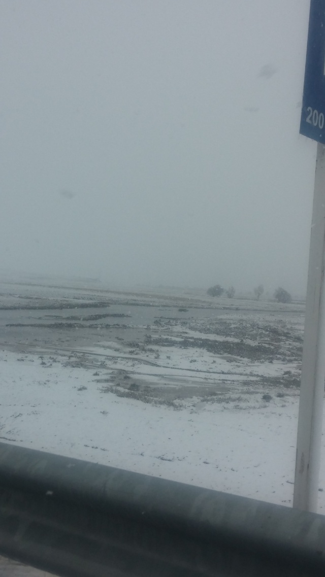 [تصویر:  IMG_20151231_001333.jpg]