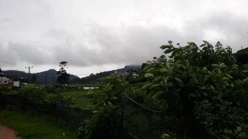 http://s6.picofile.com/file/8230950718/724.jpg
