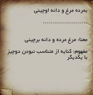 http://s6.picofile.com/file/8233620400/photo_2016_01_14_16_56_06.jpg