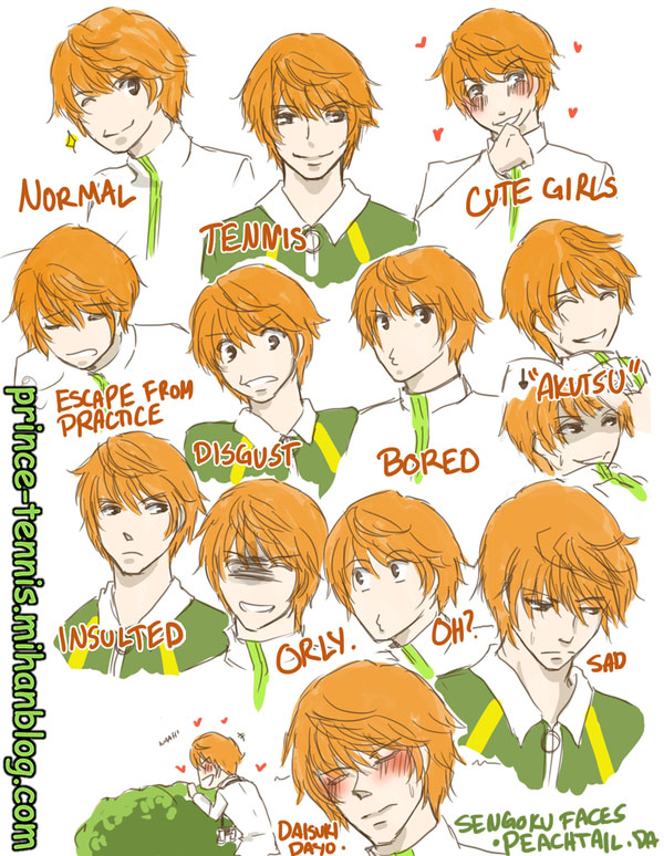 http://s6.picofile.com/file/8234049000/expressions_sengoku_by_peachtail_d4mcyyg.jpg