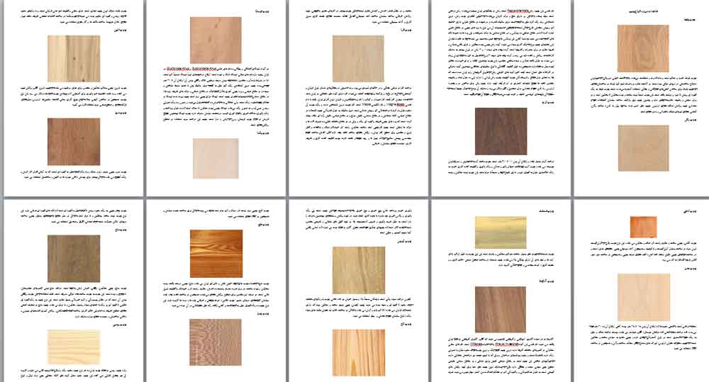 اطلاعات درباره انواع چوب + عکس