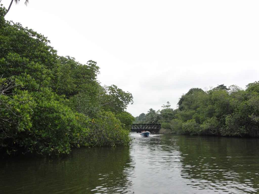http://s6.picofile.com/file/8234717484/741.jpg