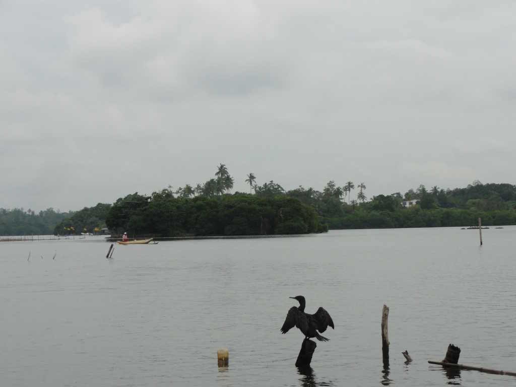 http://s6.picofile.com/file/8234717768/778.jpg