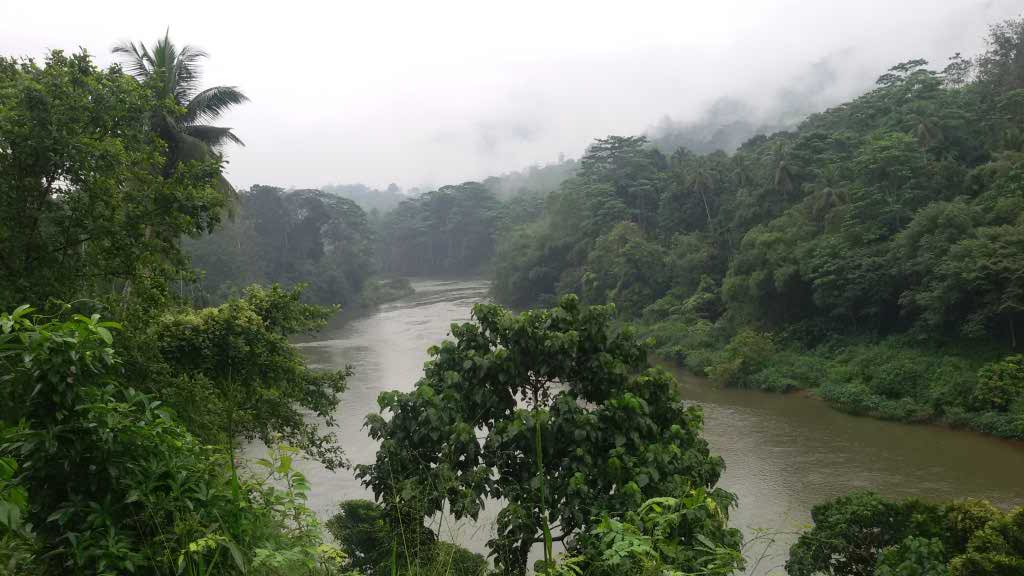 http://s6.picofile.com/file/8234718500/20141126_110430.jpg