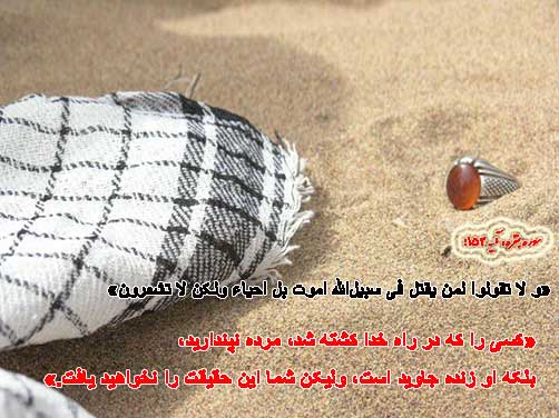نظر قرآن درباره جایگاه شهدا - مطالب شهیدوشهادت