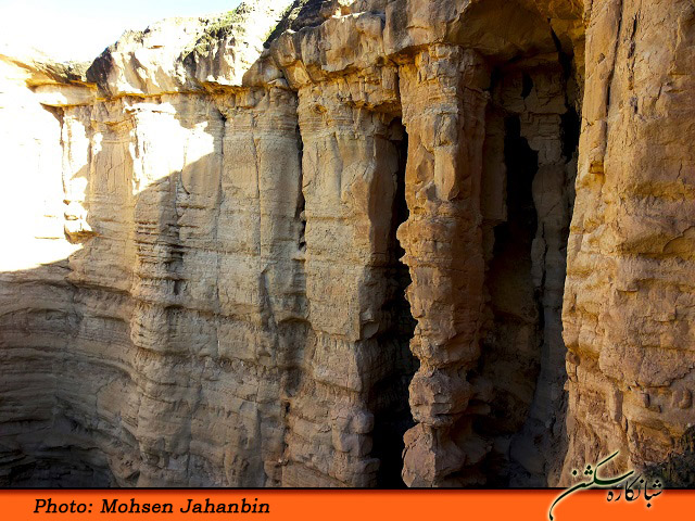http://s6.picofile.com/file/8235244626/20160106_150516.jpg