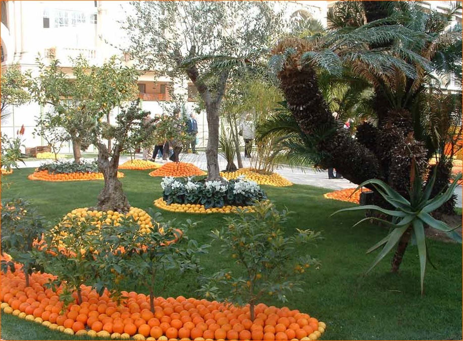 http://s6.picofile.com/file/8235432884/Untitled.jpg
