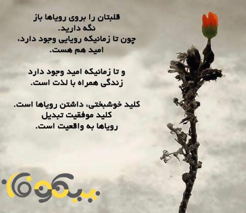 http://s6.picofile.com/file/8235515734/488491179.jpg