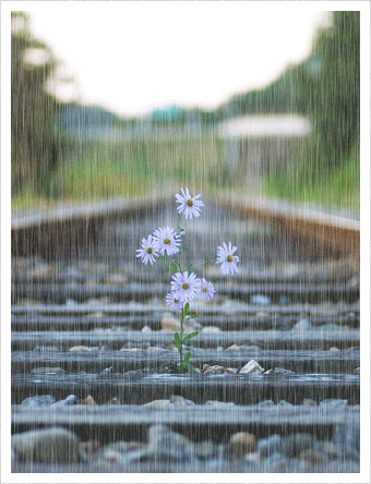 http://s6.picofile.com/file/8235516626/graaam_336a1ae0a0c.gif