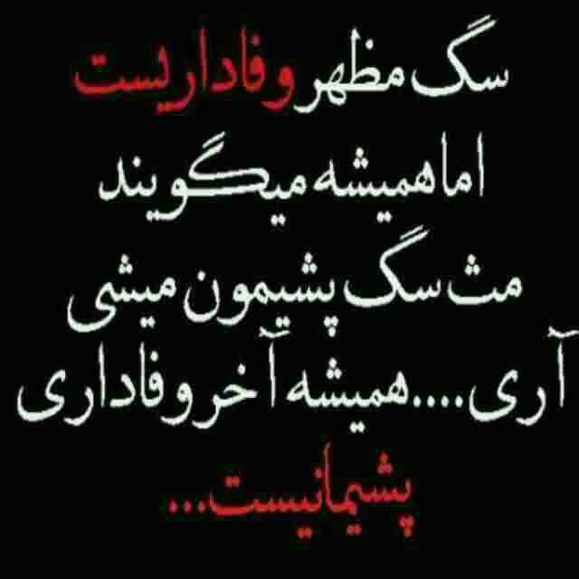 .:: تنهایی-عاشق::. .:: Tanhaei-Ashegh::.