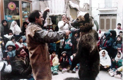 دانلود فیلم سینمائی یک مرد و یک خرس