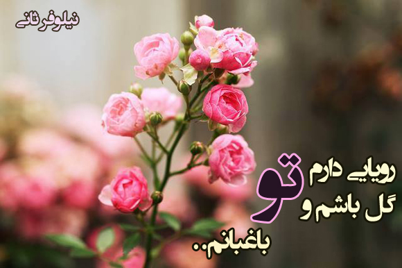http://s6.picofile.com/file/8236432268/53381_P6IqWxOP.jpg