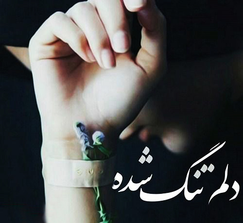 i miss you i miss you